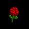 Red Rose by waz
